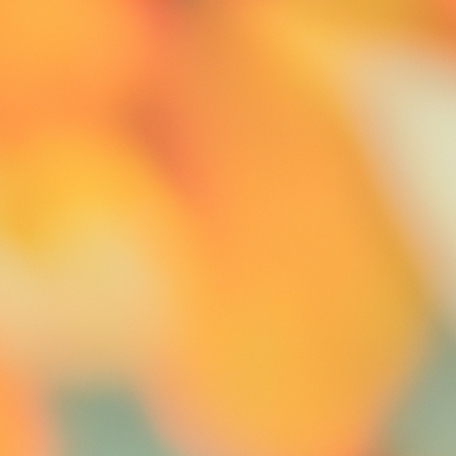 Intellectual freedom by design