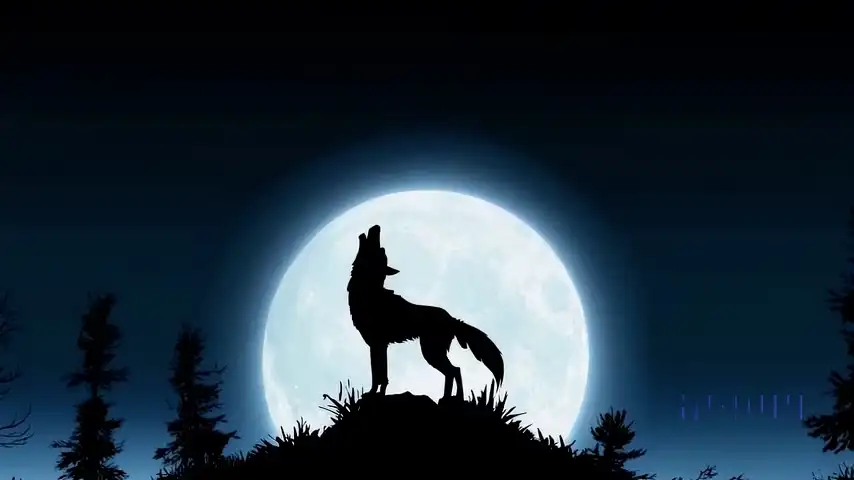 moon-wolf