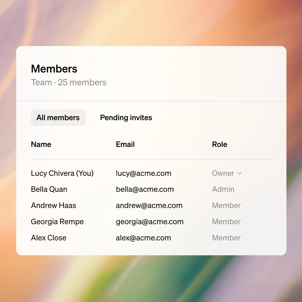 An interface representing a list of team members.