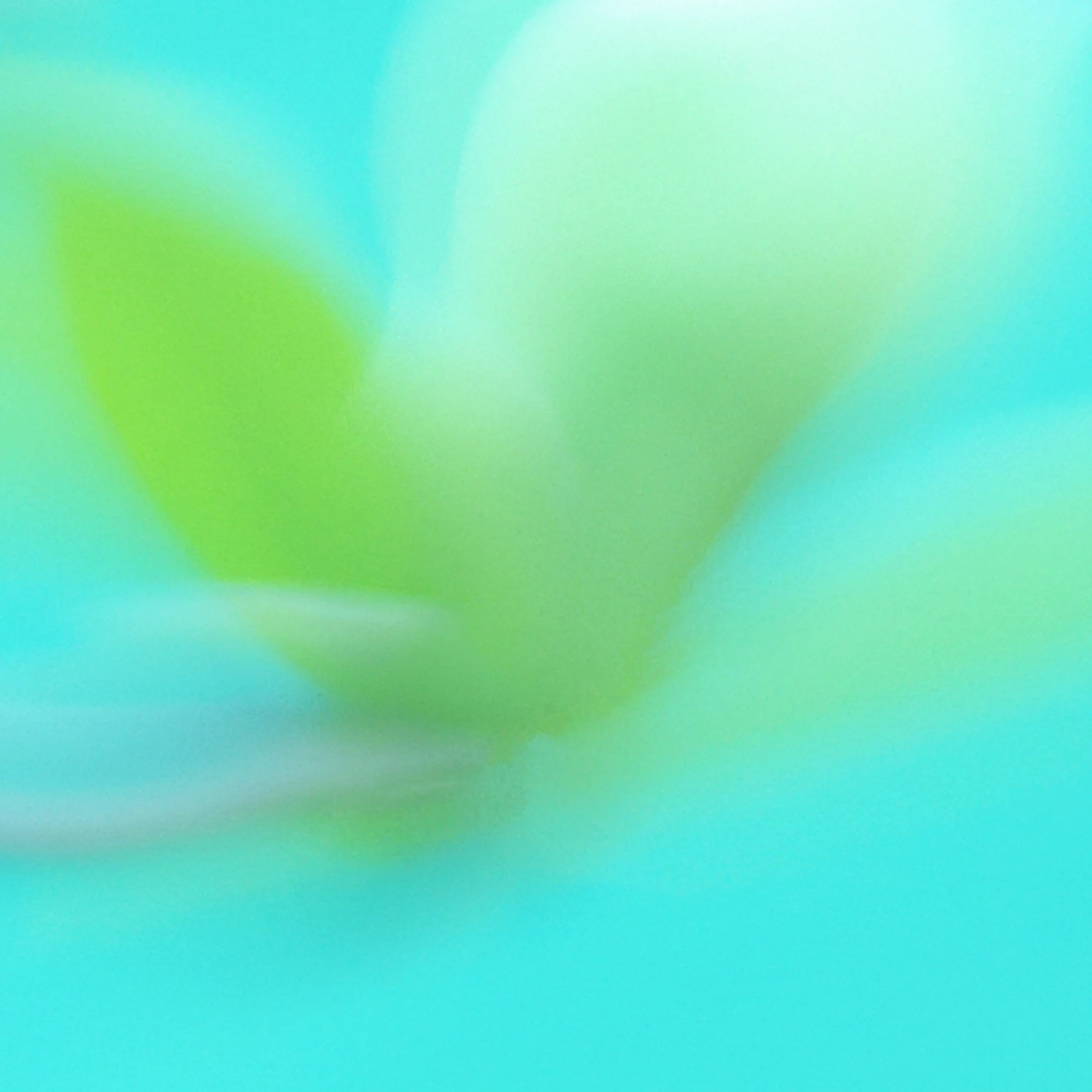 兒童安全藍圖 > 卡片圖片