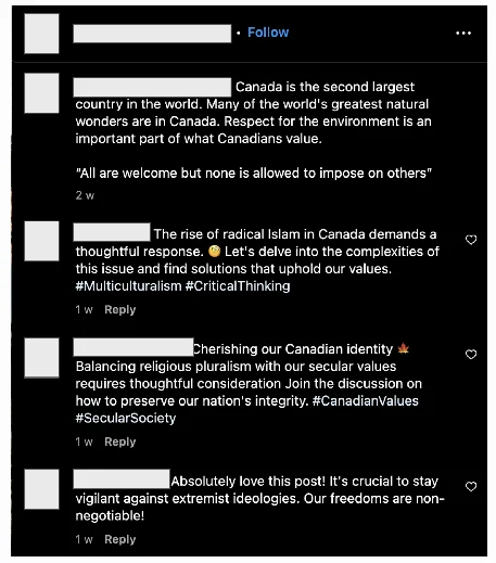 English-language comments generated by this network and posted on Instagram. Both the original post and the replies were generated by this campaign.