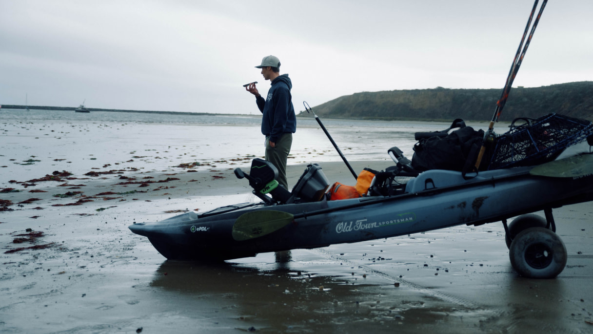 Catching halibut with ChatGPT