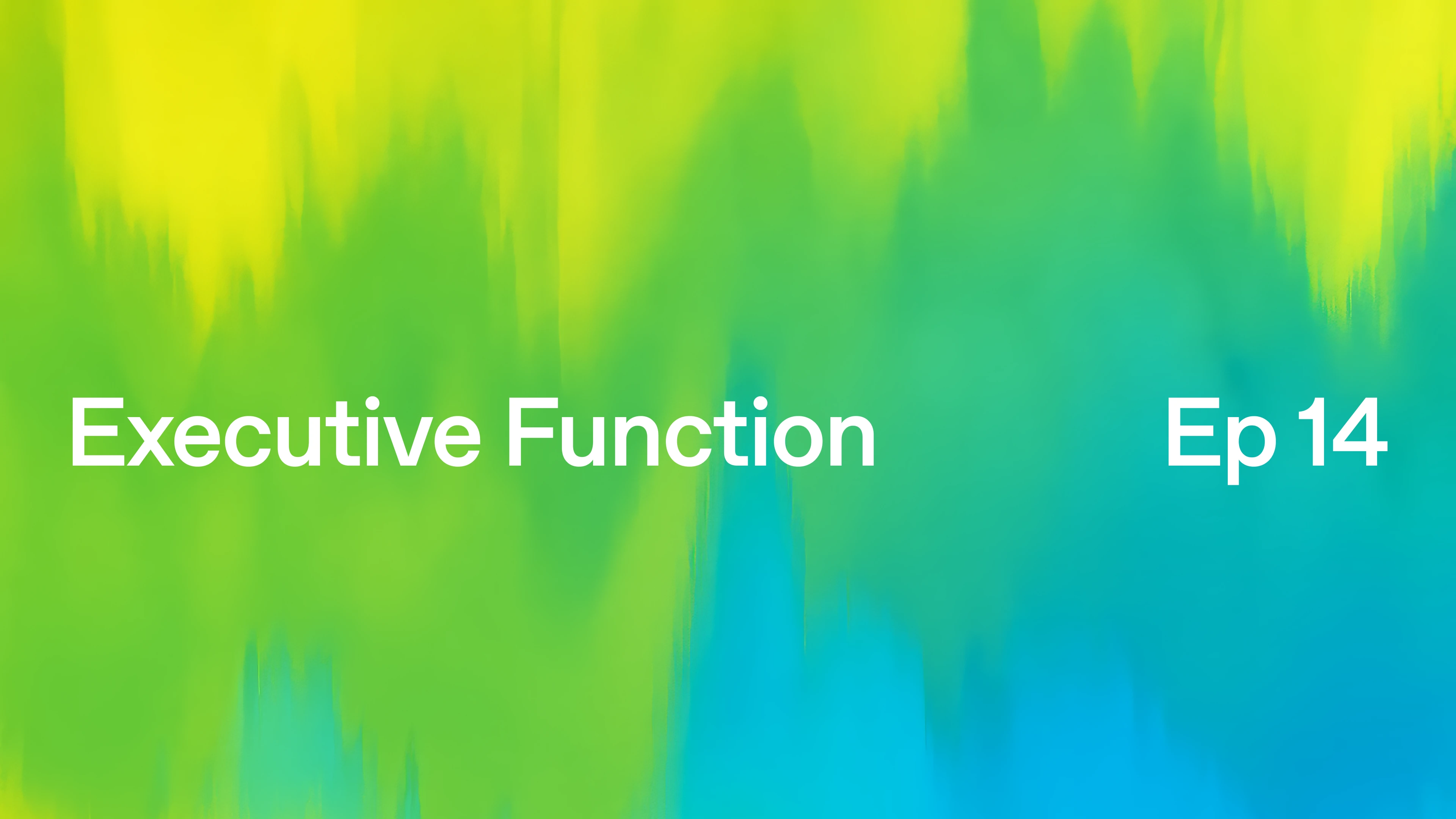 “Executive Function” Episode 14, with white text on a vibrant green, yellow, and blue gradient background.
