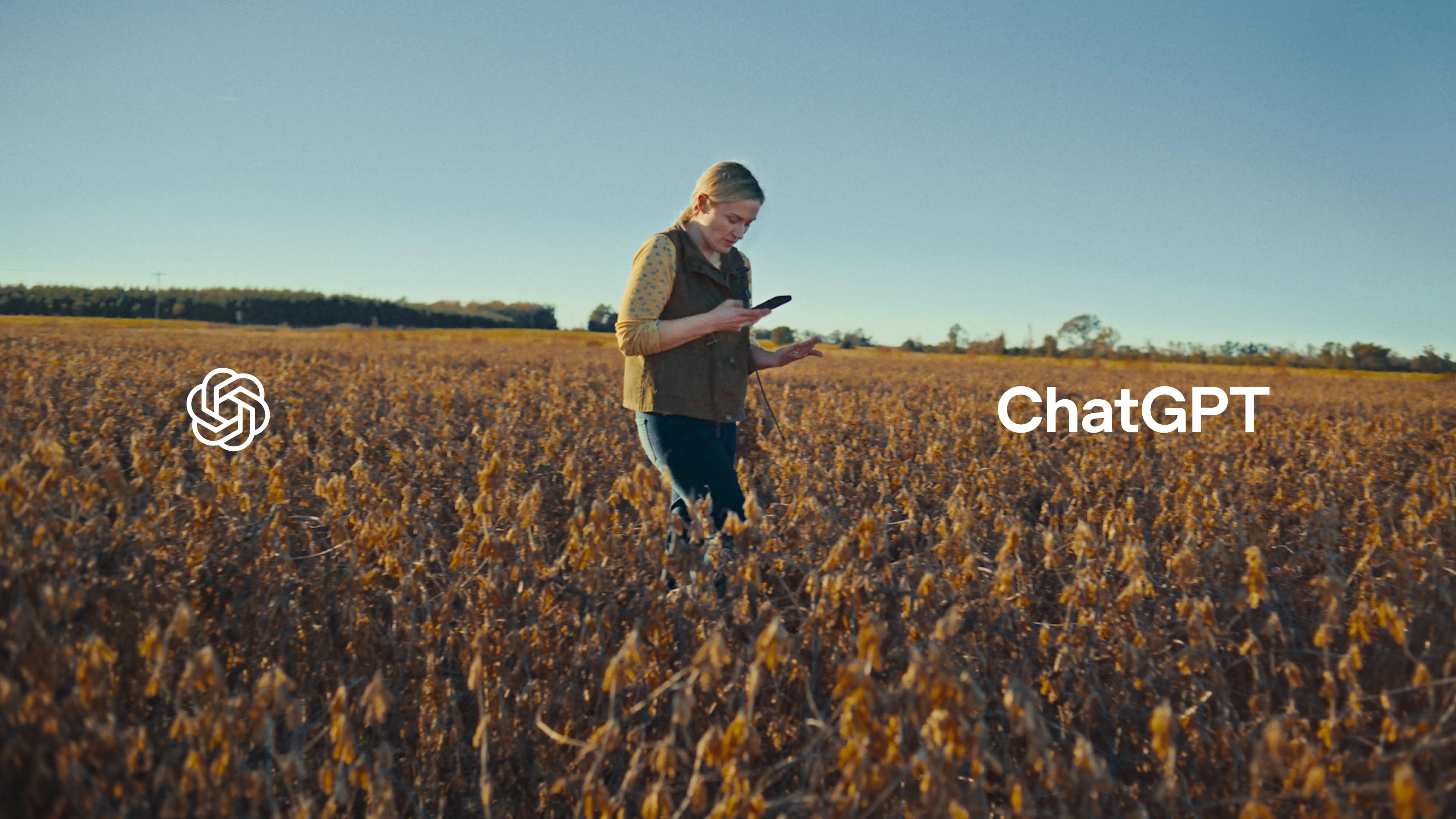 A person standing in a wide, sunlit field of crops, looking down at a smartphone. The OpenAI logo appears on the left side of the image and the word ‘ChatGPT’ appears on the right, overlaid on the landscape.
