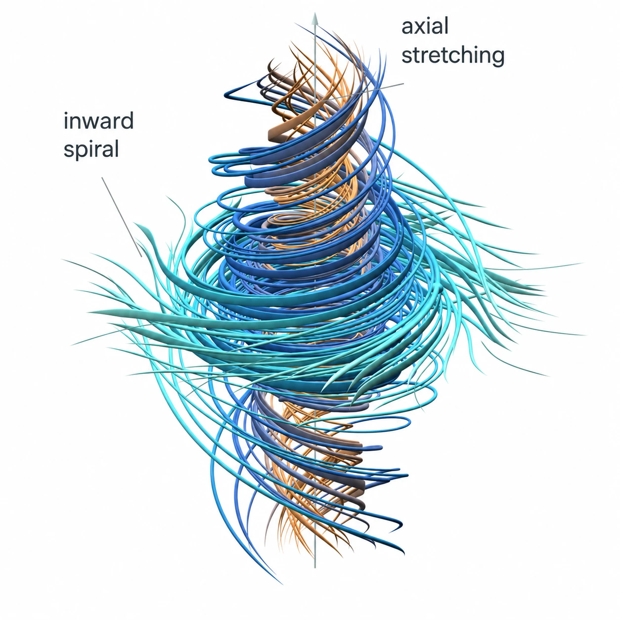 Diagram of a swirling vortex illustrating inward spiral and axial stretching.