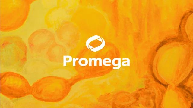 Promega's top-down adoption of ChatGPT accelerates manufacturing, sales ...