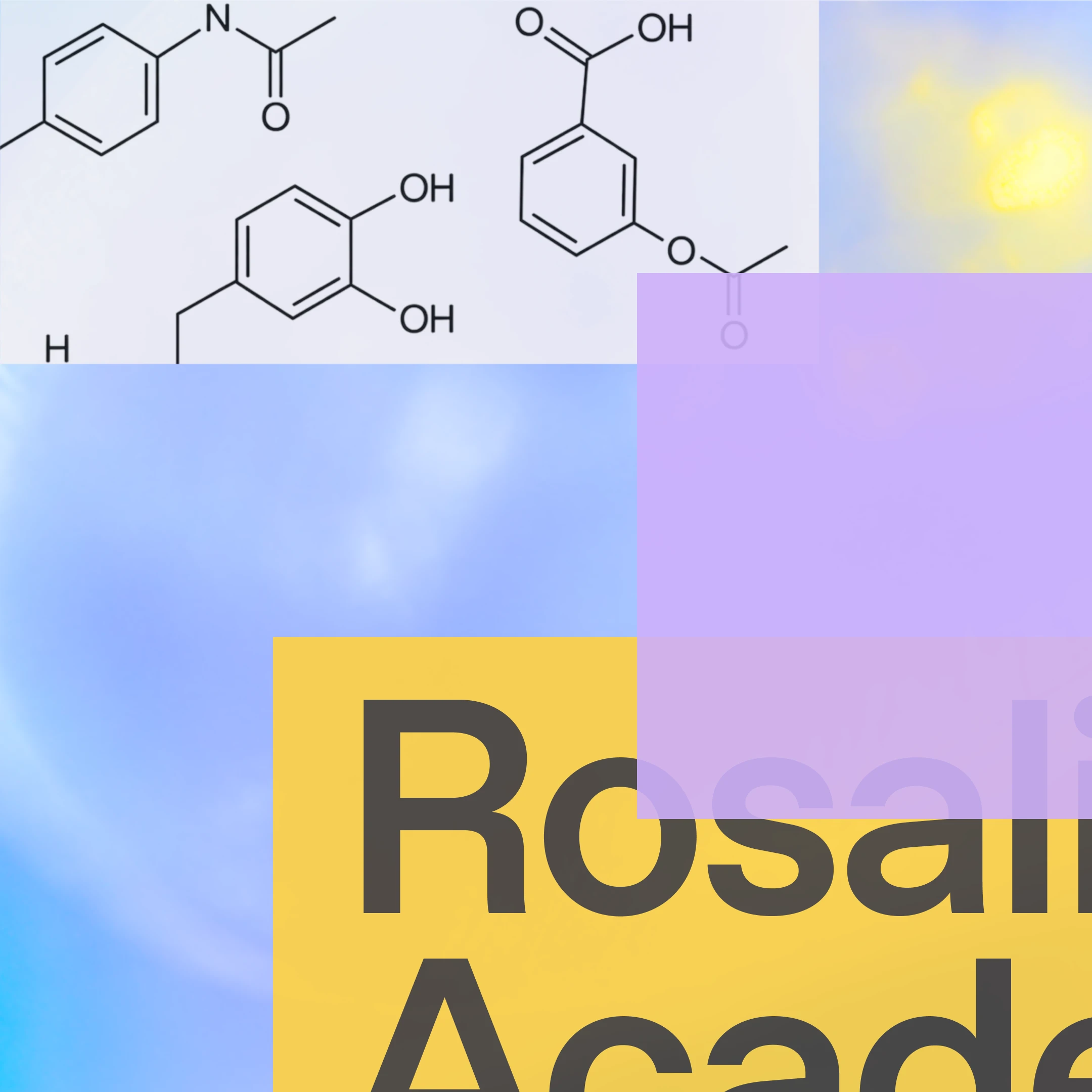 Rosalind Academic Plan - Card