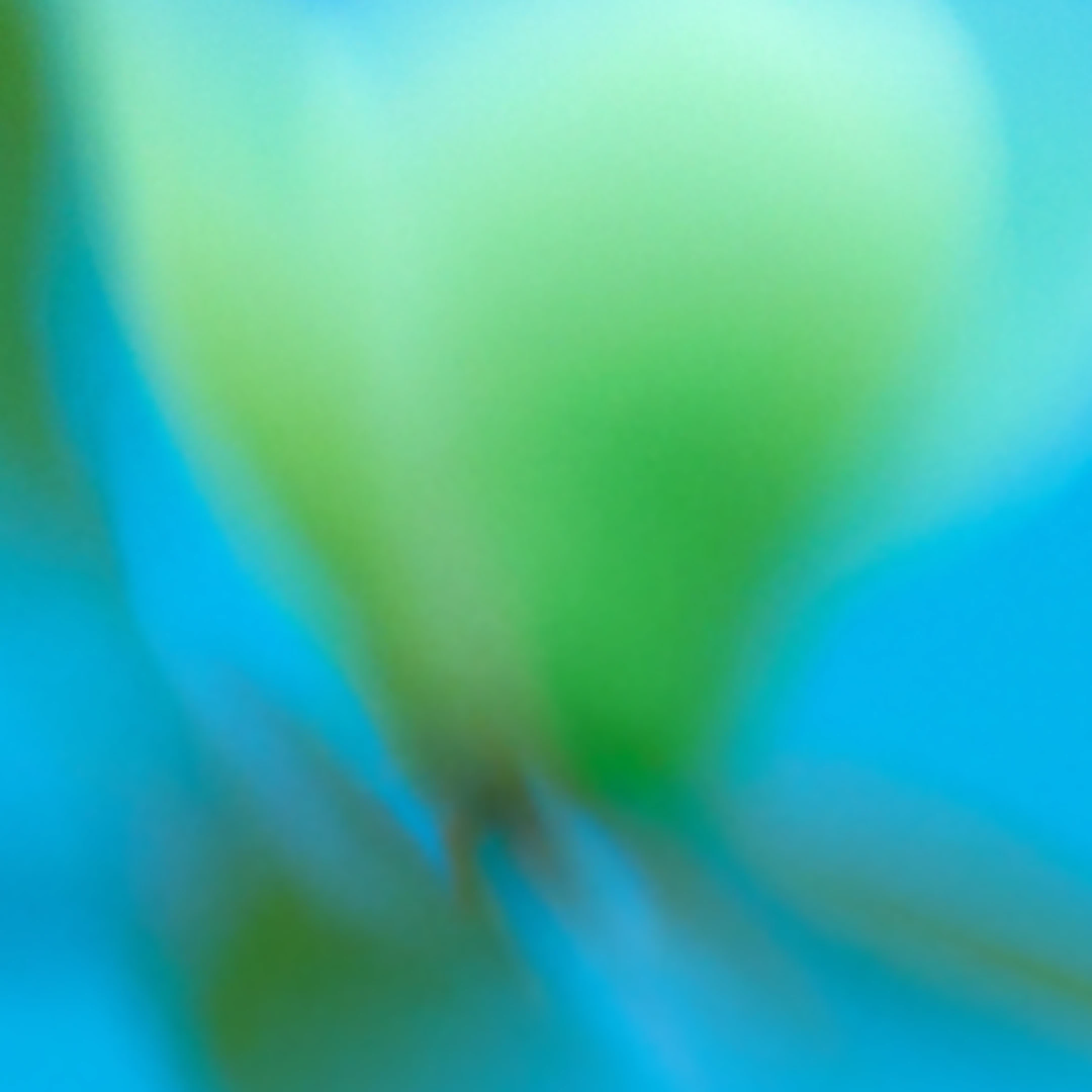 Frame (5)