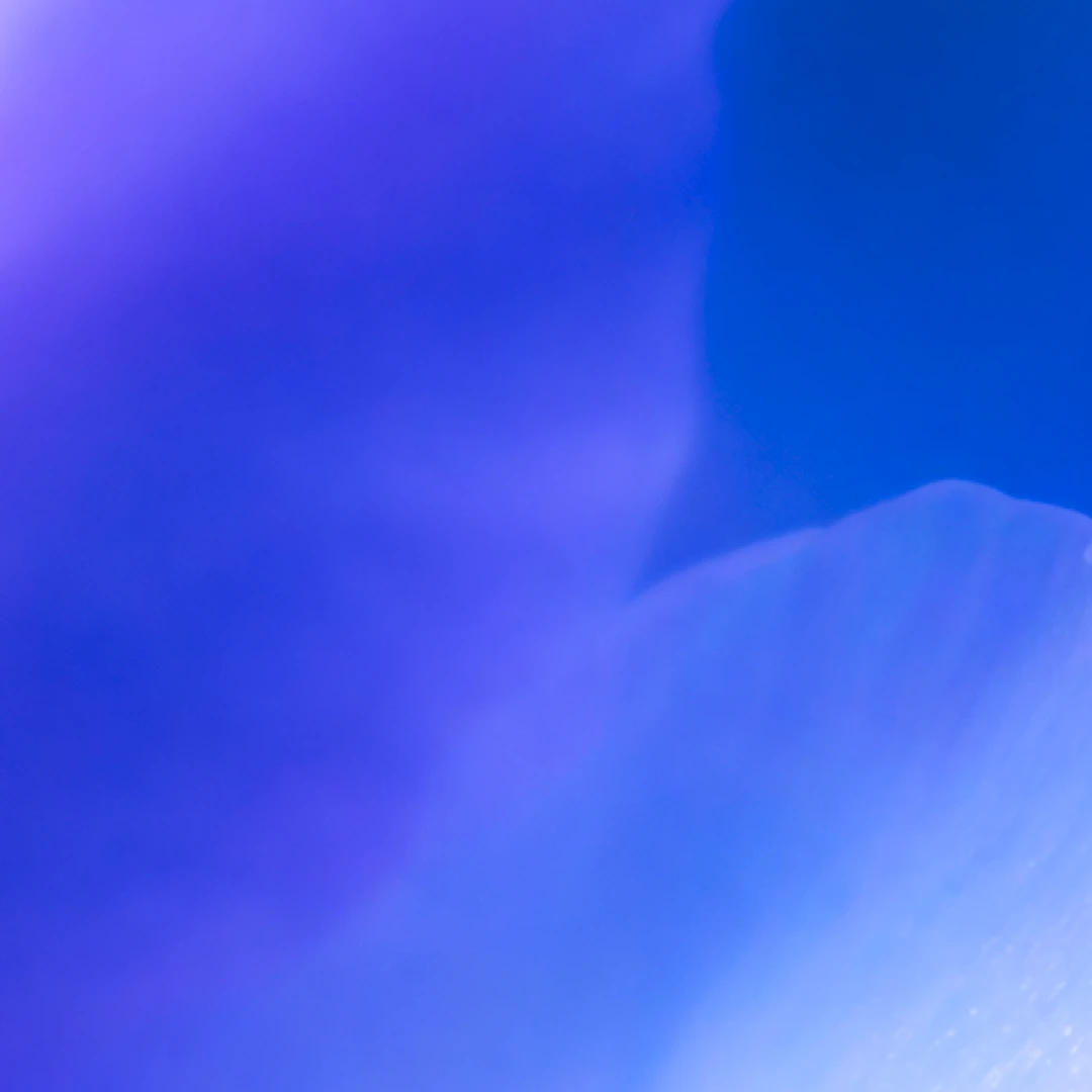 Codex pakub nüüd meeskondadele kasutuspõhist hinnastamist | OpenAI