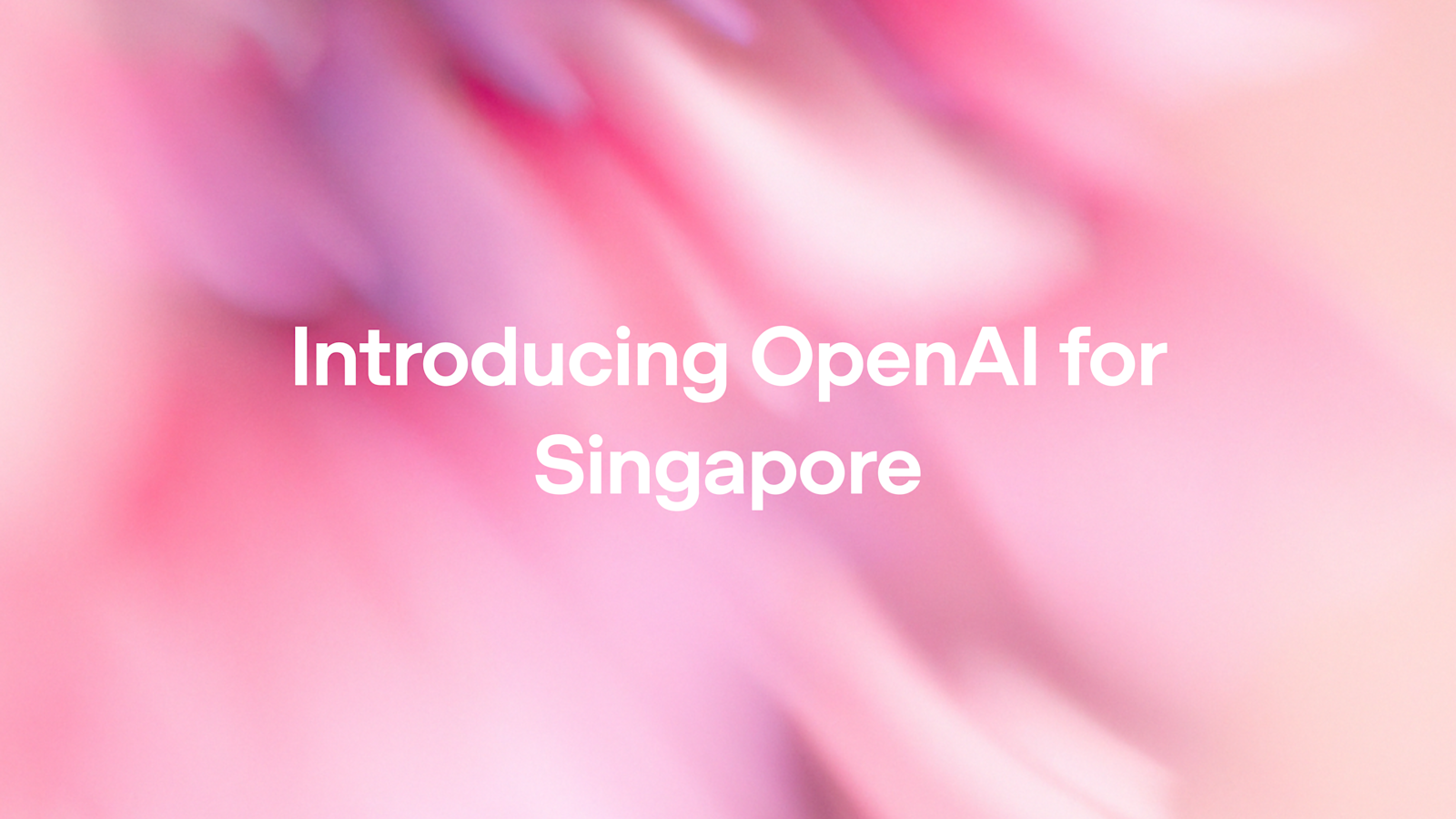 推出新加坡OpenAI计划