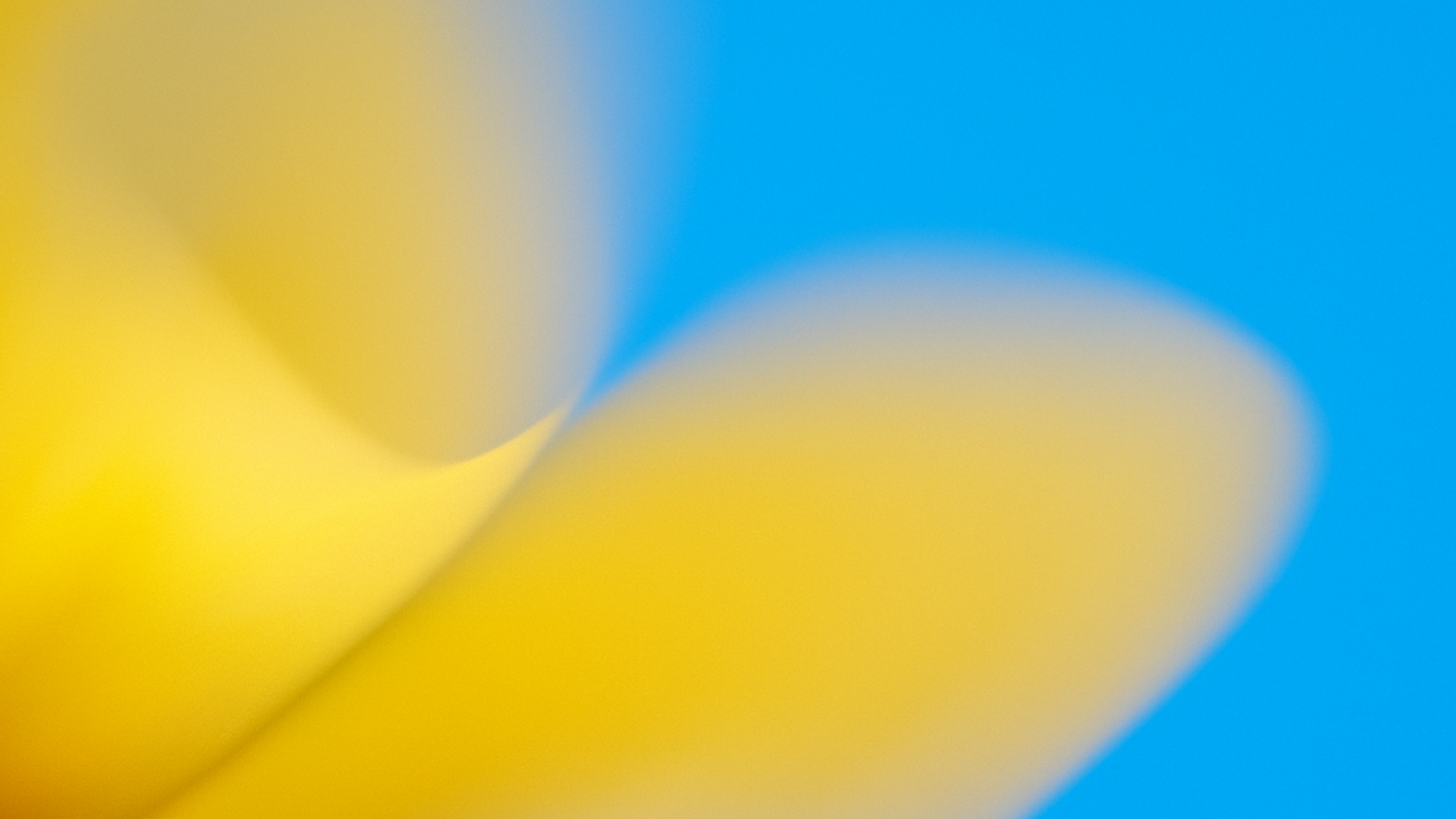 AI in South Korea—OpenAI’s Economic Blueprint