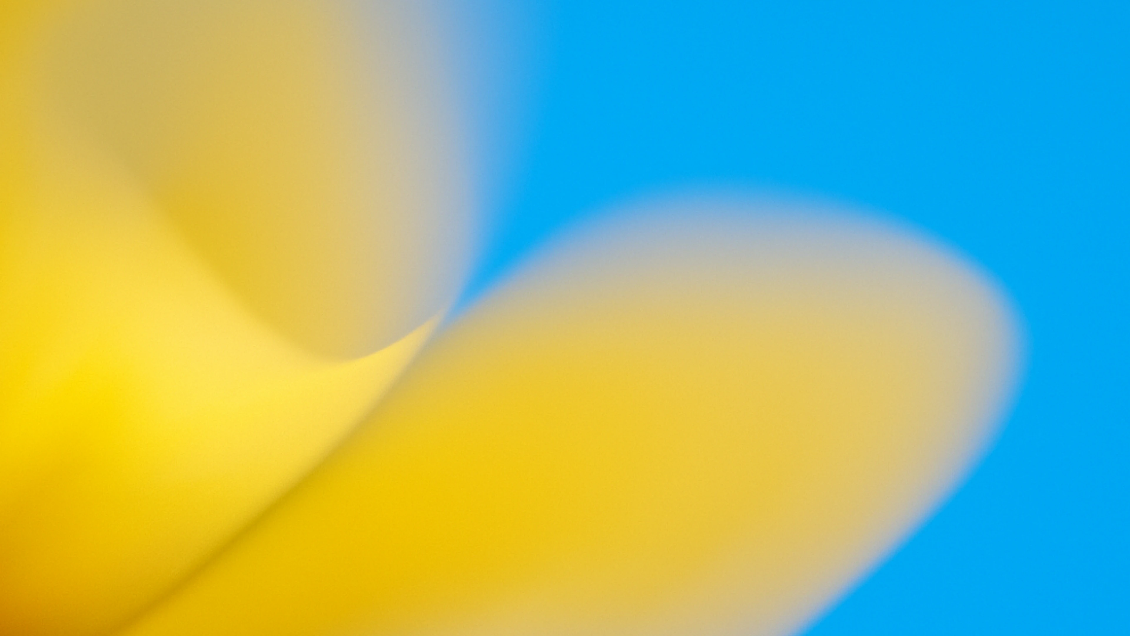 Soft, blurred yellow shapes flow diagonally across a bright blue backdrop, creating a smooth, airy, and minimalist composition with gentle color transitions。