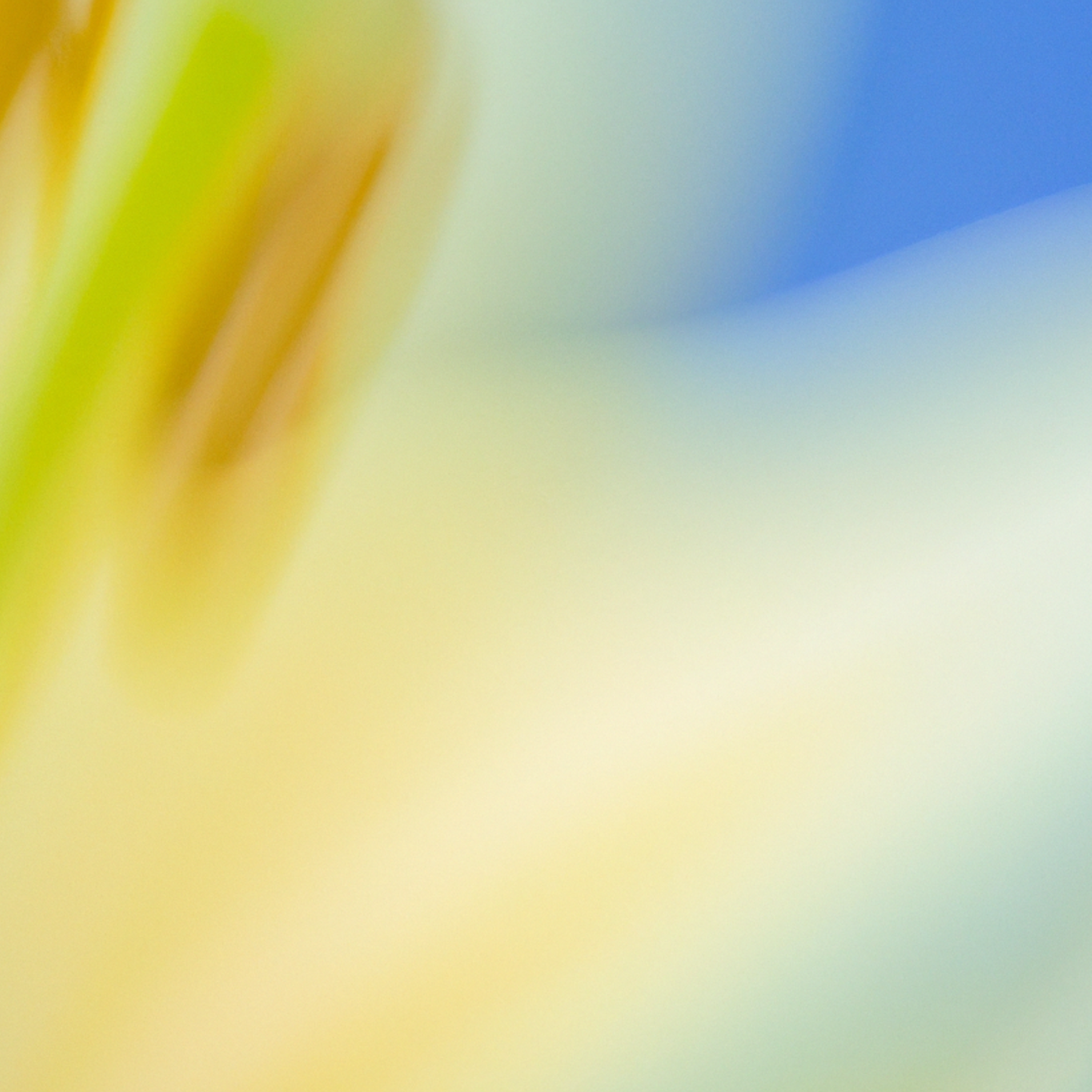 An update on our mental health-related work