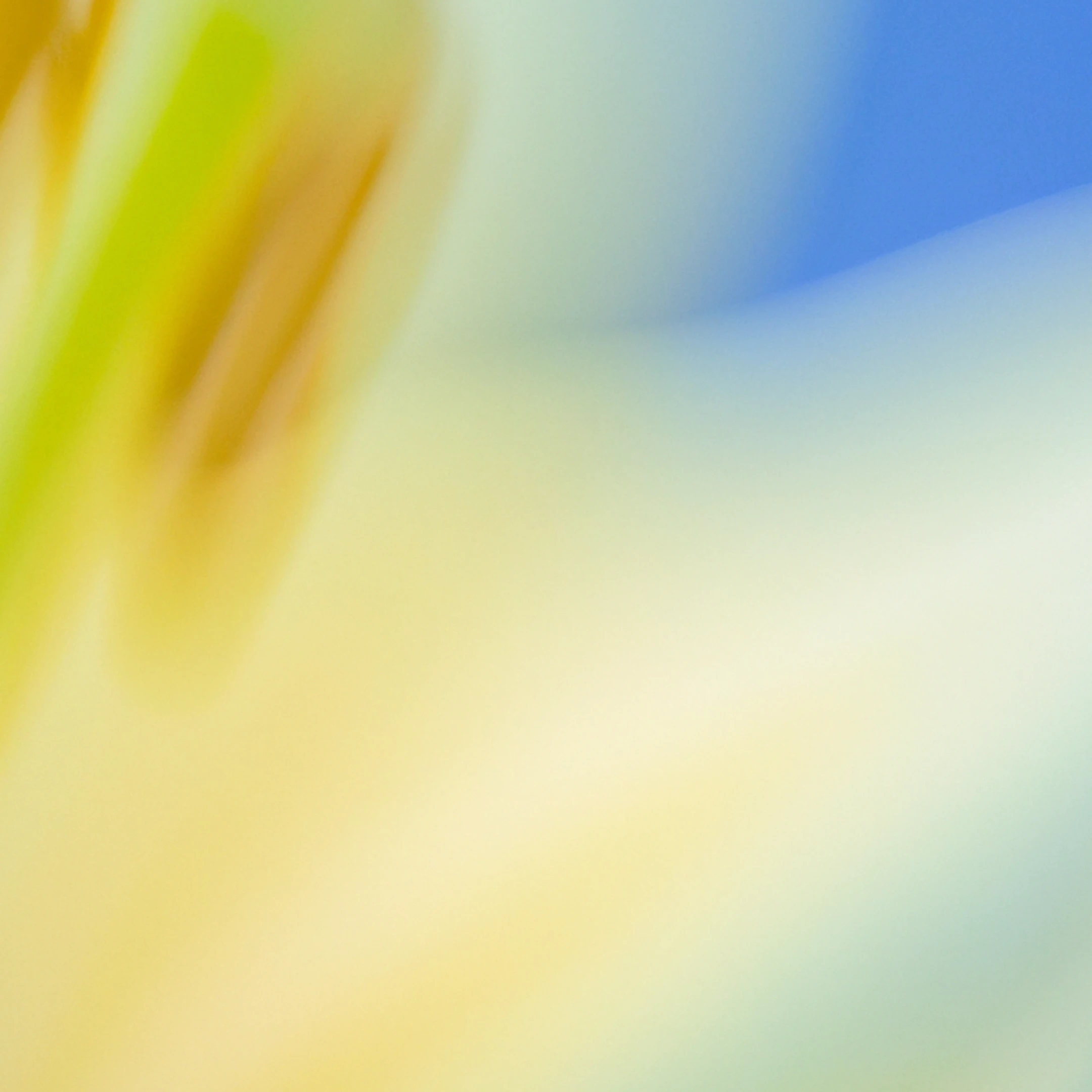 Safety bug bounty > art card