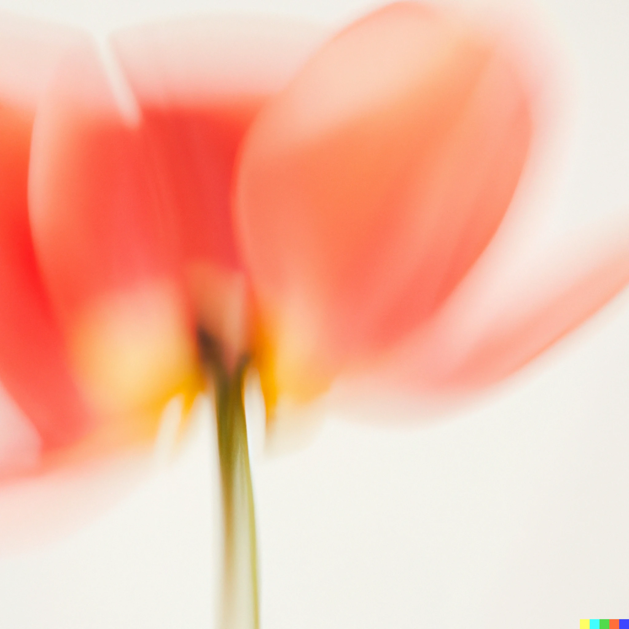 A textural blurred image of a red flower.