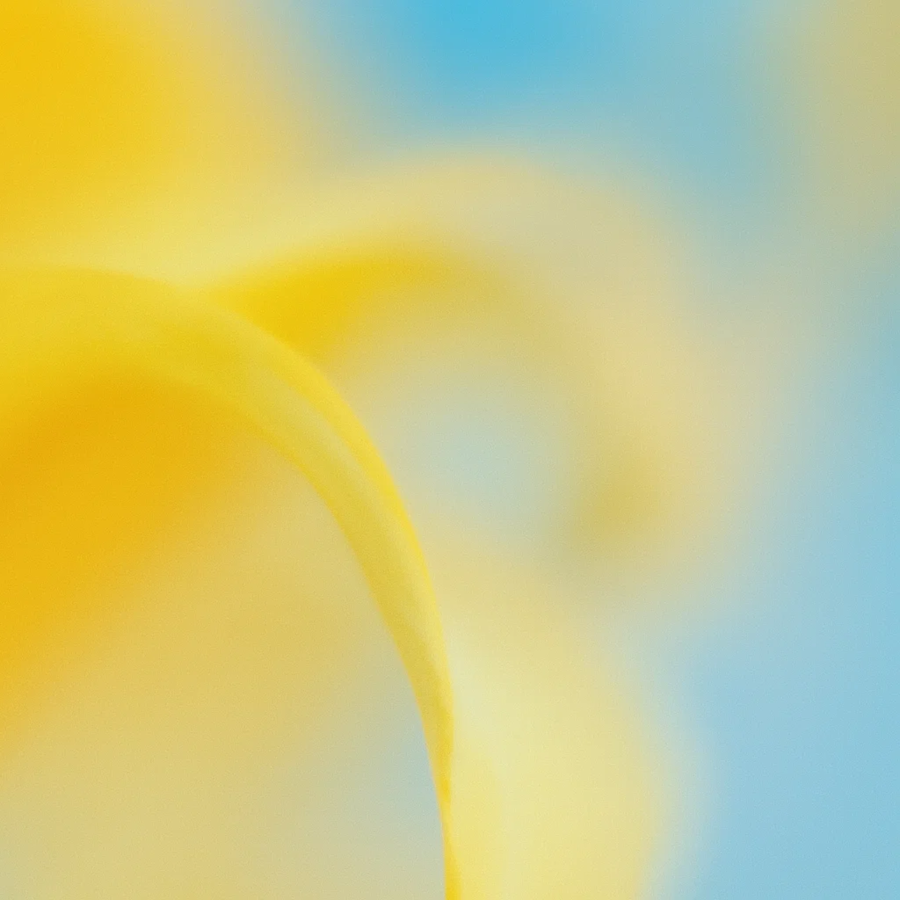 images.ctfassets.net image