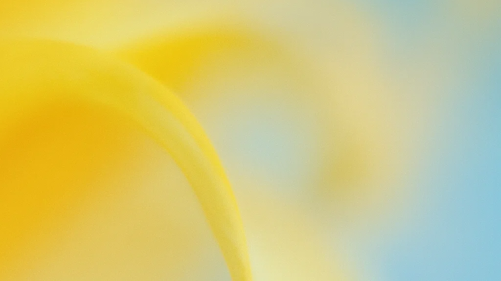Close-up image of a yellow flower petal with soft focus and a blue and yellow background.
