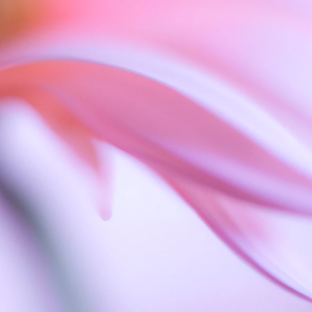 openai-for-business-openai