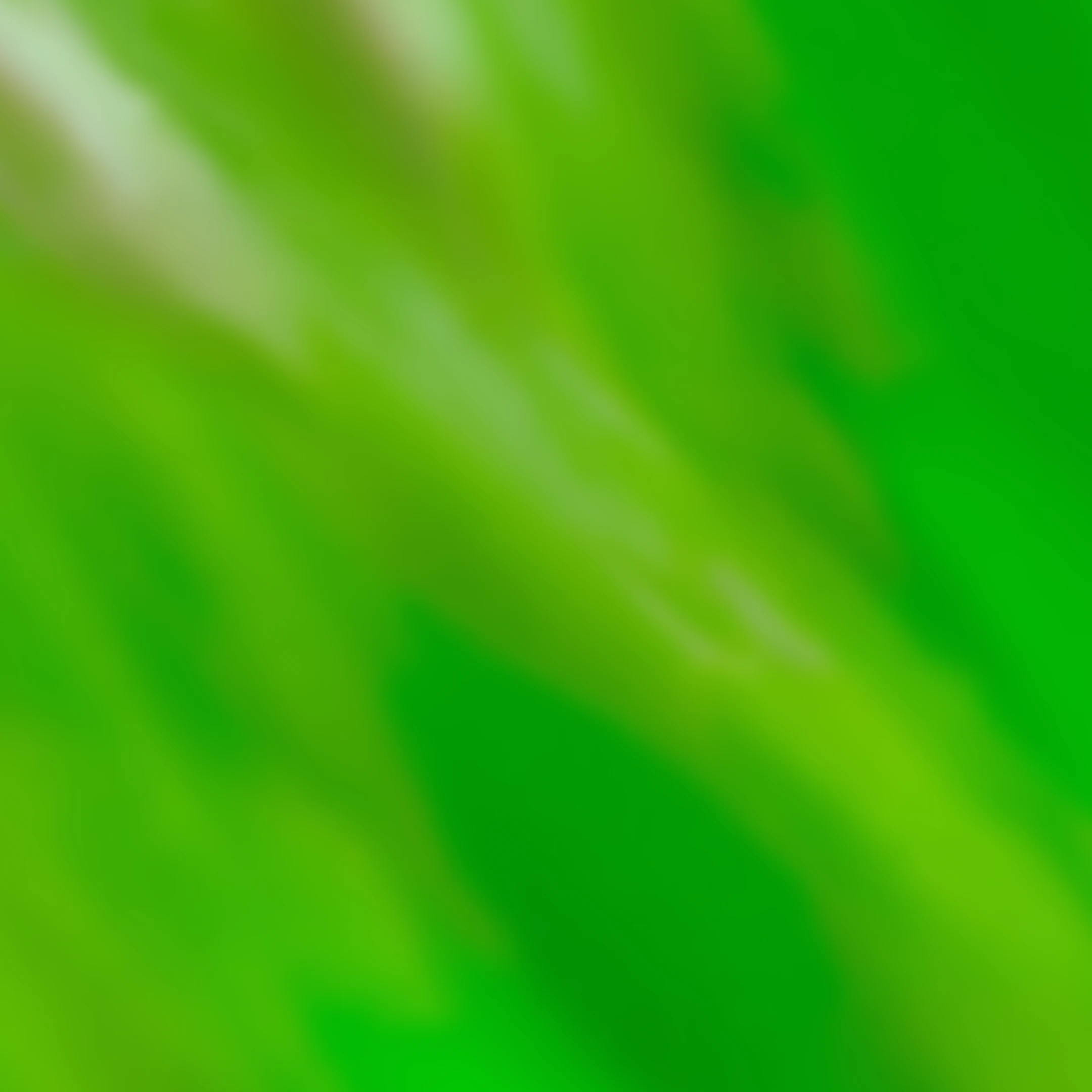 Equipping workers 1x1