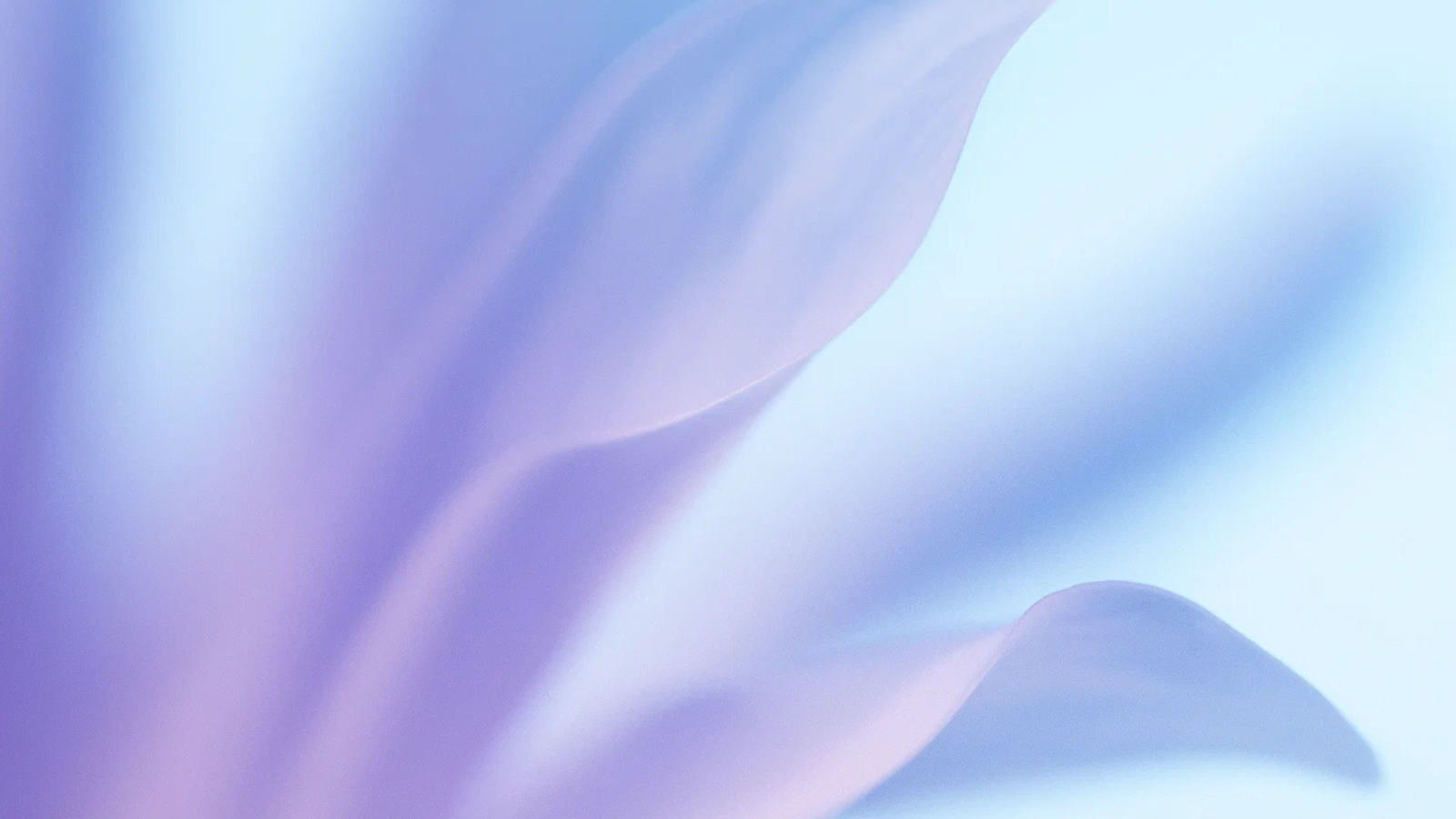 Neptune.ai (ML Experiment Tracking)