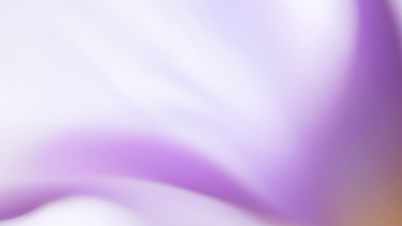 GPT-5 bio bug bounty call