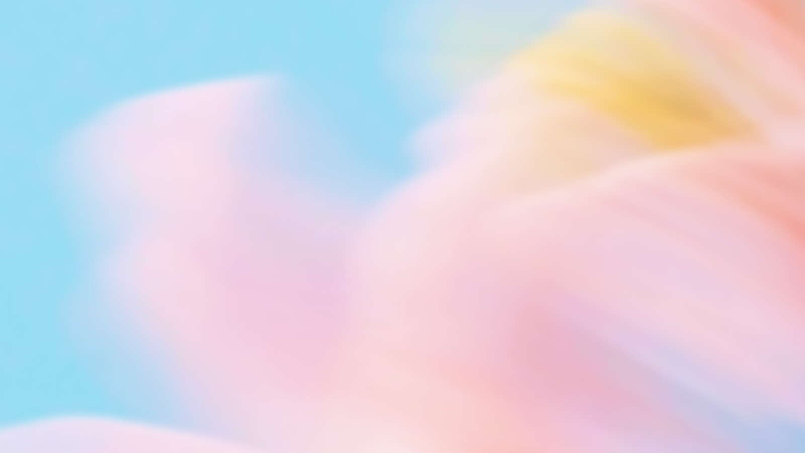 Navigating Mental Health Litigation: Balancing Care and Responsibility