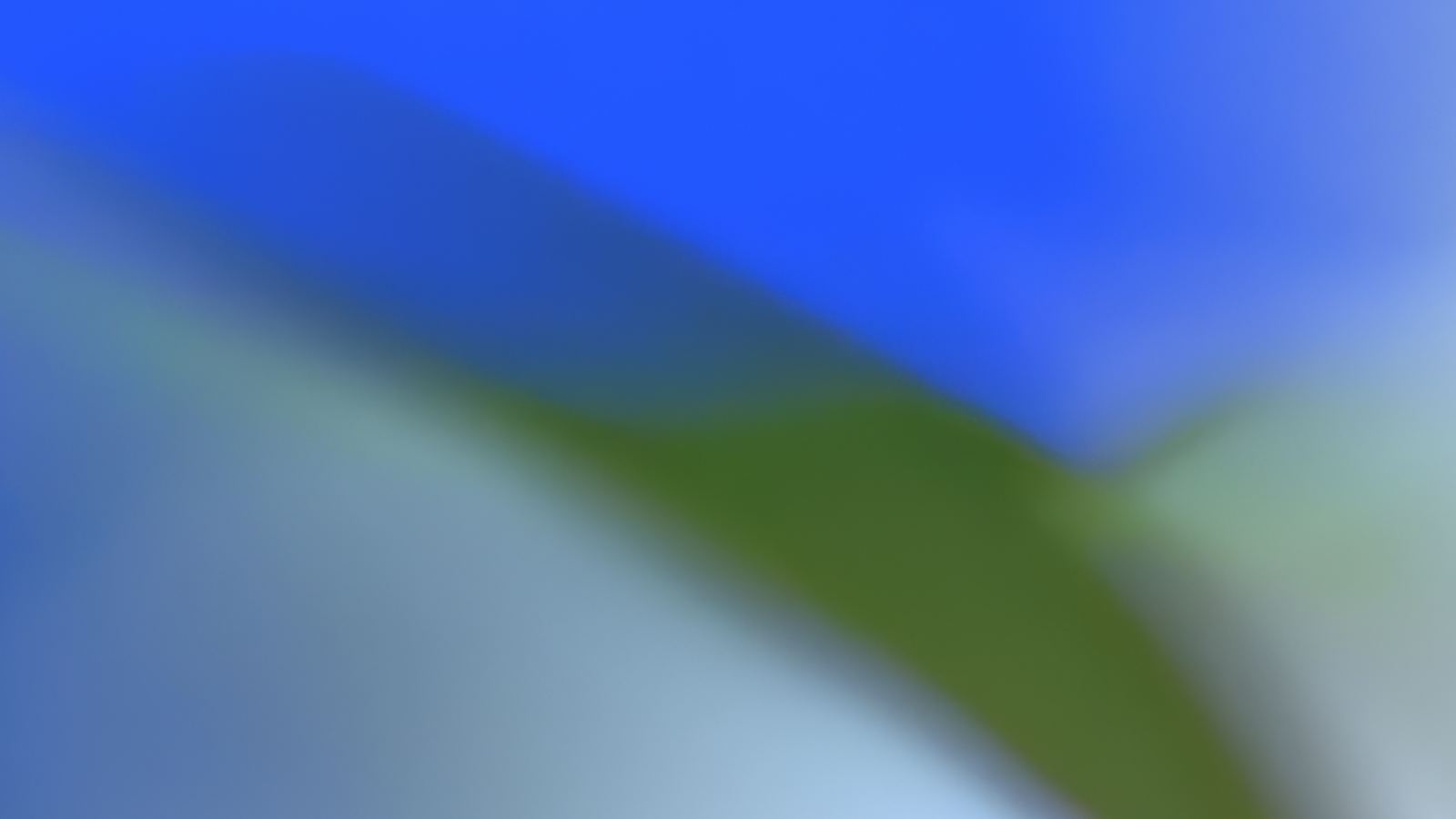 Court Blocks Musk's Attempt to Stall OpenAI: Why It Matters