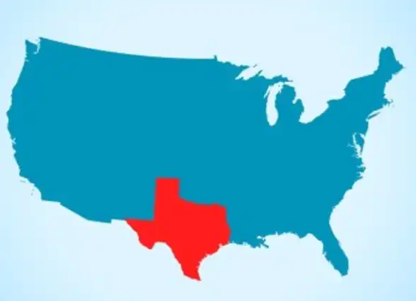 Texas Will and Trust