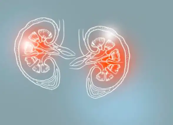 Age-Related Kidney Decline
