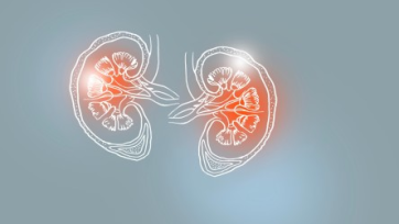 Declive renal relacionado con la edad