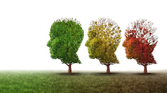 ¿Tiene fases la demencia?