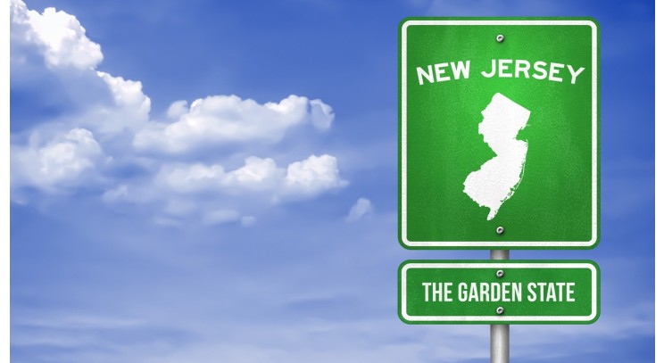 New Jersey Medical and Financial Power of Attorney (POA) Forms
