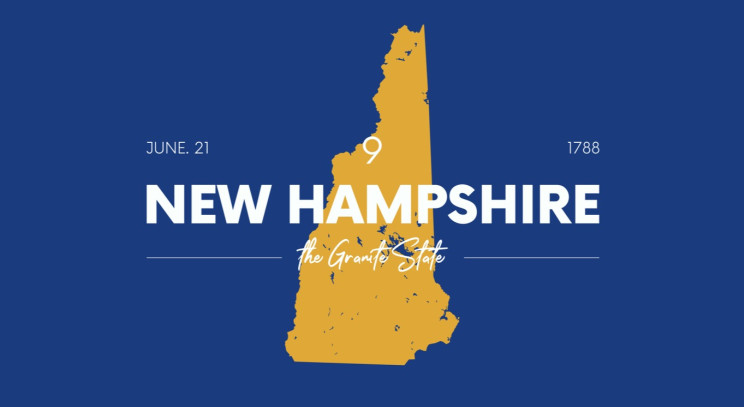 New Hampshire Medical and Financial Power of Attorney (POA) Forms