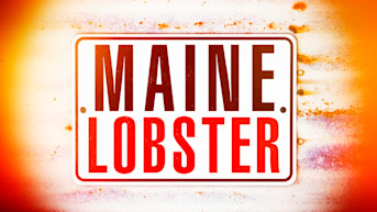 Formularios de poder médico y financiero de Maine (POA)