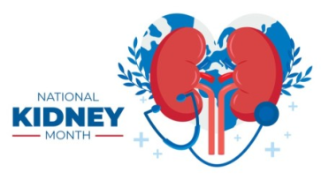 What to Know About Kidney Health and Function