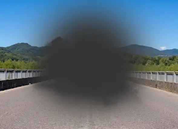 Central Vision Loss