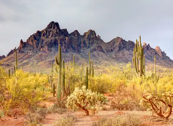legal documents - dnr - arizona
