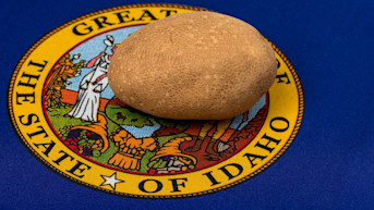 Formularios de poder notarial médico y financiero (POA) de Idaho