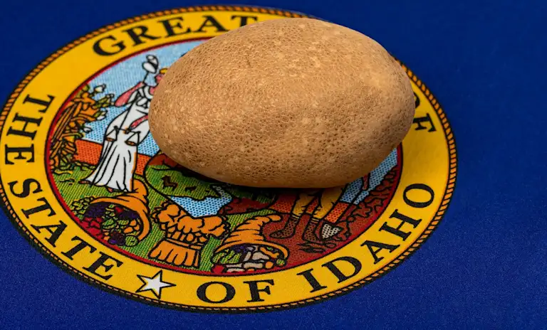 idaho-medical-and-financial-power-of-attorney-poa-forms-helpful for Free Printable Power Of Attorney Form Idaho Idaho Medical and Financial Power of Attorney (POA) Forms — Helpful for Free Printable Power Of Attorney Form Idaho