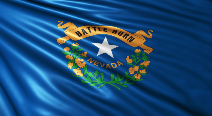 Nevada Medical and Financial Power of Attorney (POA) Forms