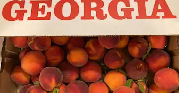 Georgia