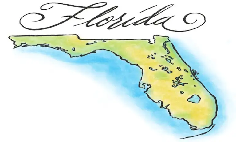 Florida Medical and Financial Power of Attorney (POA) Forms — Helpful florida-medical-and-financial-power-of-attorney-poa-forms-helpful