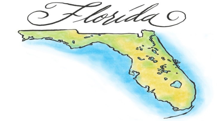 Florida Medical and Financial Power of Attorney (POA) Forms