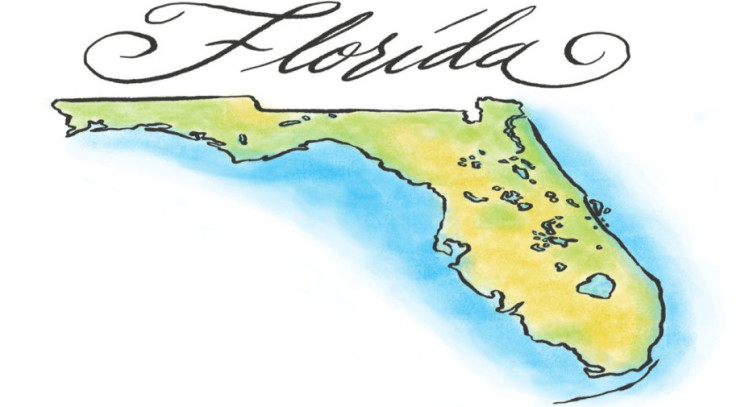 Formularios de poder notarial médico y financiero (POA) de Florida