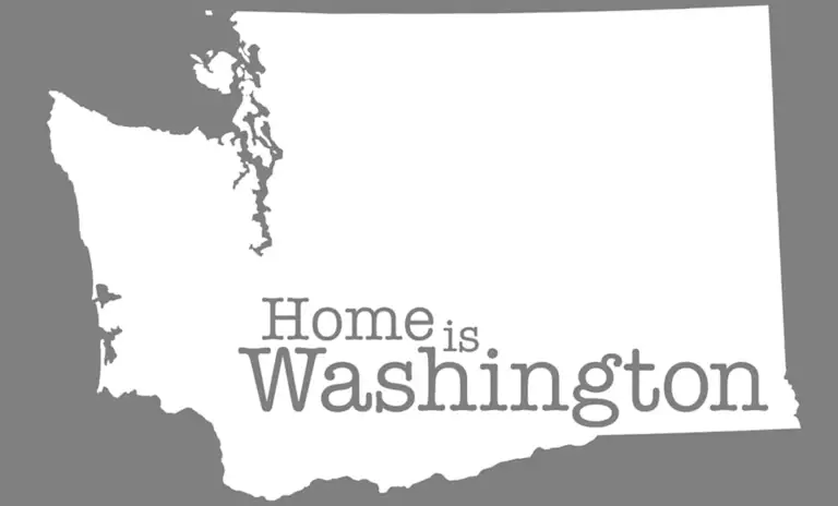 Washington Medical and Financial Power of Attorney (POA) Forms — Helpful washington-medical-and-financial-power-of-attorney-poa-forms-helpful