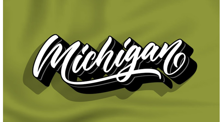 Helpful App — Michigan POLST and DNR Forms