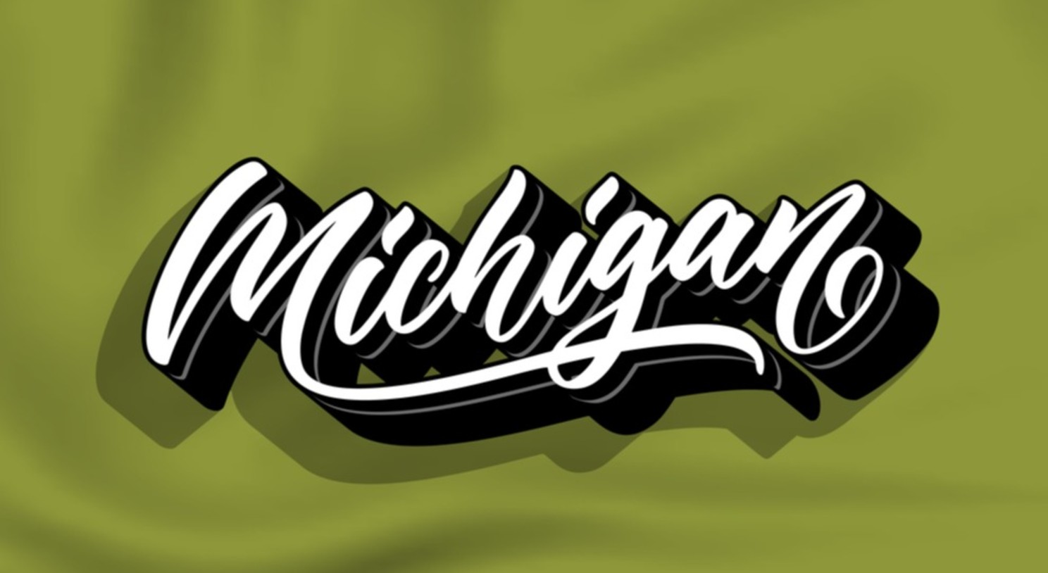 Helpful App Michigan POLST And DNR Forms helpful-app-michigan-polst-and-dnr-forms