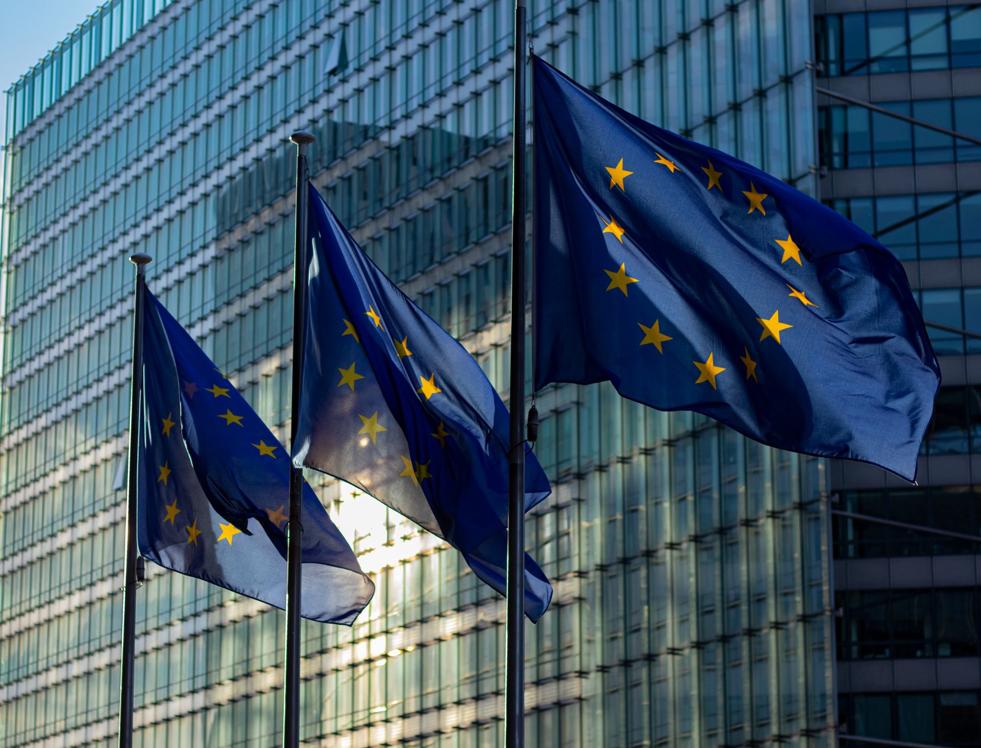 European union flags