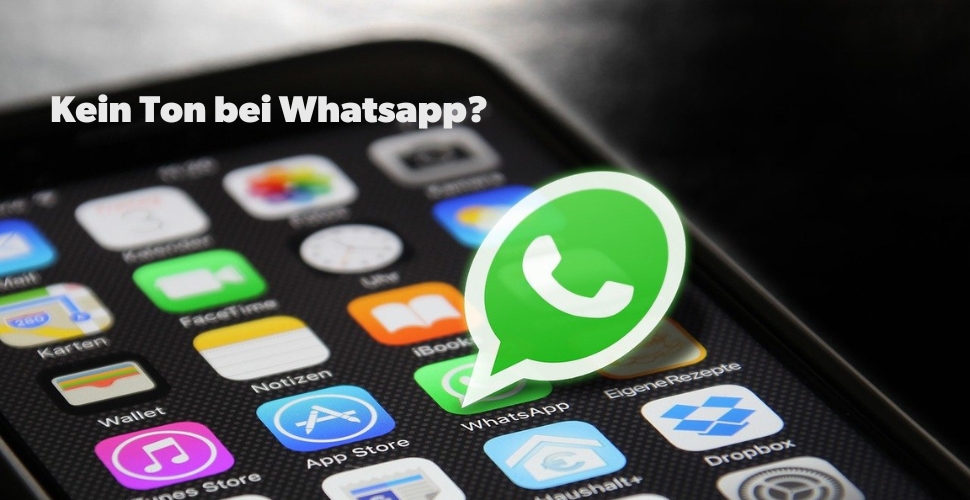 WhatsApp Kein Ton? Das kannst Du tun Magazin