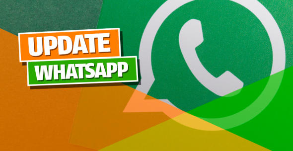Das WhatsApp-Logo auf grünem Hintergrund.